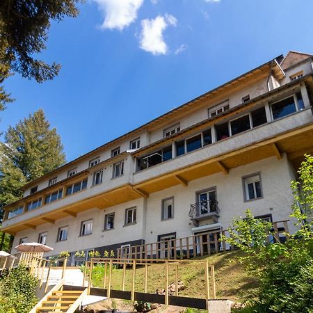 Le Chalet Du Lac Le Chatenet-en-Dognon Экстерьер фото